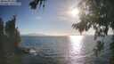 ./images/koeye/fitz-hugh/20260819/fitz-hugh20260819_182501M.jpg