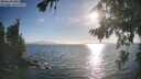 ./images/koeye/fitz-hugh/20260819/fitz-hugh20260819_183001M.jpg