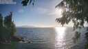 ./images/koeye/fitz-hugh/20260819/fitz-hugh20260819_183501M.jpg