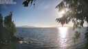 ./images/koeye/fitz-hugh/20260819/fitz-hugh20260819_185001M.jpg