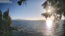 ./images/koeye/fitz-hugh/20260819/fitz-hugh20260819_191001M.jpg