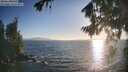 ./images/koeye/fitz-hugh/20260819/fitz-hugh20260819_191501M.jpg