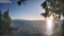 ./images/koeye/fitz-hugh/20260819/fitz-hugh20260819_192002M.jpg