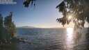 ./images/koeye/fitz-hugh/20260819/fitz-hugh20260819_192501M.jpg