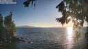 ./images/koeye/fitz-hugh/20260819/fitz-hugh20260819_193001M.jpg