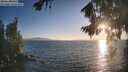 ./images/koeye/fitz-hugh/20260819/fitz-hugh20260819_193501M.jpg