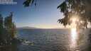 ./images/koeye/fitz-hugh/20260819/fitz-hugh20260819_194001M.jpg
