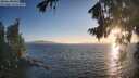 ./images/koeye/fitz-hugh/20260819/fitz-hugh20260819_195002M.jpg