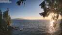 ./images/koeye/fitz-hugh/20260819/fitz-hugh20260819_195501M.jpg