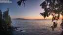 ./images/koeye/fitz-hugh/20260819/fitz-hugh20260819_210502M.jpg