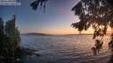 ./images/koeye/fitz-hugh/20260819/fitz-hugh20260819_211002M.jpg