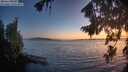 ./images/koeye/fitz-hugh/20260819/fitz-hugh20260819_211501M.jpg