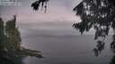 ./images/koeye/fitz-hugh/20260820/fitz-hugh20260820_061501M.jpg