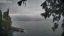 ./images/koeye/fitz-hugh/20260820/fitz-hugh20260820_064002M.jpg