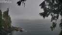 ./images/koeye/fitz-hugh/20260820/fitz-hugh20260820_071502M.jpg
