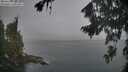 ./images/koeye/fitz-hugh/20260820/fitz-hugh20260820_073502M.jpg