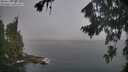 ./images/koeye/fitz-hugh/20260820/fitz-hugh20260820_074501M.jpg