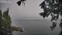 ./images/koeye/fitz-hugh/20260820/fitz-hugh20260820_075501M.jpg