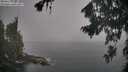 ./images/koeye/fitz-hugh/20260820/fitz-hugh20260820_083501M.jpg