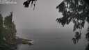 ./images/koeye/fitz-hugh/20260820/fitz-hugh20260820_085001M.jpg