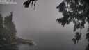 ./images/koeye/fitz-hugh/20260820/fitz-hugh20260820_093001M.jpg