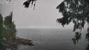 ./images/koeye/fitz-hugh/20260820/fitz-hugh20260820_102002M.jpg