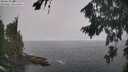 ./images/koeye/fitz-hugh/20260820/fitz-hugh20260820_104001M.jpg
