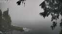 ./images/koeye/fitz-hugh/20260820/fitz-hugh20260820_110501M.jpg