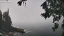 ./images/koeye/fitz-hugh/20260820/fitz-hugh20260820_123002M.jpg