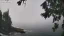 ./images/koeye/fitz-hugh/20260820/fitz-hugh20260820_124001M.jpg