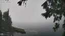./images/koeye/fitz-hugh/20260820/fitz-hugh20260820_124501M.jpg