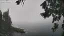 ./images/koeye/fitz-hugh/20260820/fitz-hugh20260820_125001M.jpg