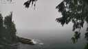 ./images/koeye/fitz-hugh/20260820/fitz-hugh20260820_125502M.jpg