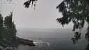 ./images/koeye/fitz-hugh/20260820/fitz-hugh20260820_130502M.jpg