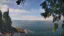 ./images/koeye/fitz-hugh/20260820/fitz-hugh20260820_131501M.jpg