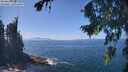 ./images/koeye/fitz-hugh/20260820/fitz-hugh20260820_134001M.jpg