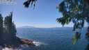 ./images/koeye/fitz-hugh/20260820/fitz-hugh20260820_134501M.jpg