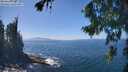 ./images/koeye/fitz-hugh/20260820/fitz-hugh20260820_135501M.jpg