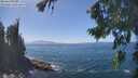 ./images/koeye/fitz-hugh/20260820/fitz-hugh20260820_140502M.jpg