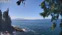 ./images/koeye/fitz-hugh/20260820/fitz-hugh20260820_141501M.jpg