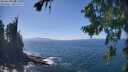 ./images/koeye/fitz-hugh/20260820/fitz-hugh20260820_143002M.jpg