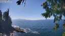 ./images/koeye/fitz-hugh/20260820/fitz-hugh20260820_145001M.jpg