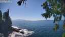 ./images/koeye/fitz-hugh/20260820/fitz-hugh20260820_151001M.jpg