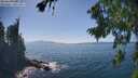 ./images/koeye/fitz-hugh/20260820/fitz-hugh20260820_153002M.jpg
