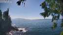 ./images/koeye/fitz-hugh/20260820/fitz-hugh20260820_153501M.jpg