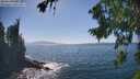 ./images/koeye/fitz-hugh/20260820/fitz-hugh20260820_155002M.jpg
