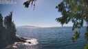 ./images/koeye/fitz-hugh/20260820/fitz-hugh20260820_155501M.jpg