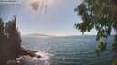 ./images/koeye/fitz-hugh/20260820/fitz-hugh20260820_160001M.jpg