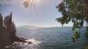 ./images/koeye/fitz-hugh/20260820/fitz-hugh20260820_160501M.jpg