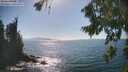 ./images/koeye/fitz-hugh/20260820/fitz-hugh20260820_162001M.jpg